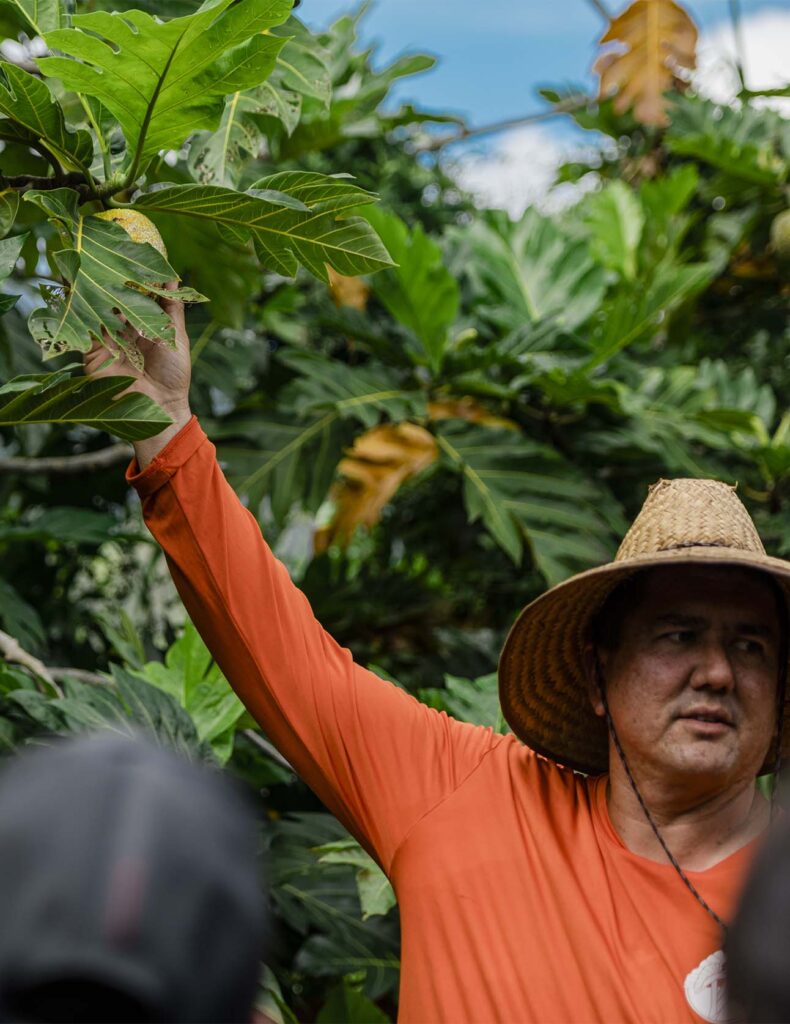 “When we first came here, this was all invasive trees,” says Kāko‘o ‘Ōiwi’s executive director, Jonathan Kānekoa Kūkea-Shultz. “It wasn’t this field of vegetables and fruit and kalo (taro).”