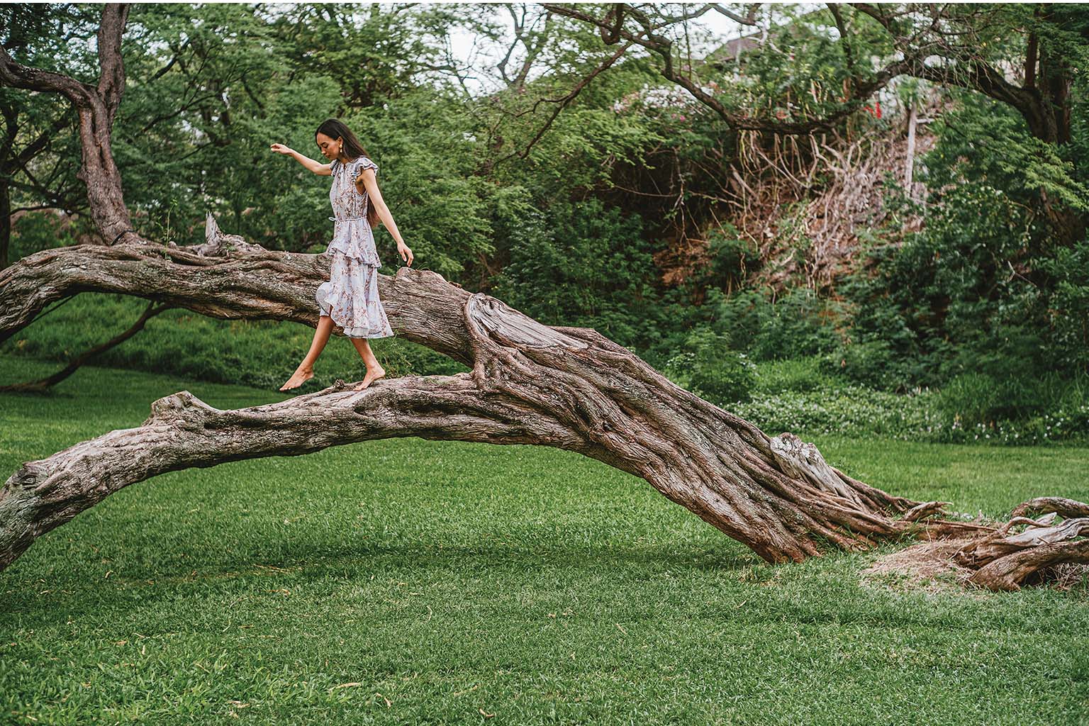 A person in a white floral dress walking on a large fallen tree trunk in a lush green park setting with trees and foliage in the background.