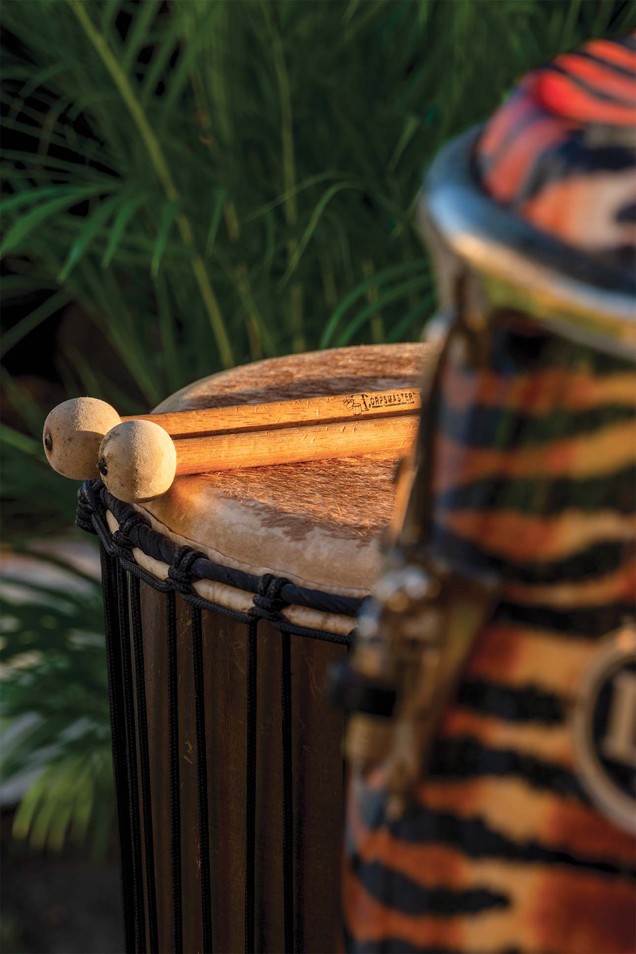 Close-up of a djembe drum with a wooden body and goat skin head, with a blurry djembe drum with a colorful pattern in the background, and green grass in the distance.