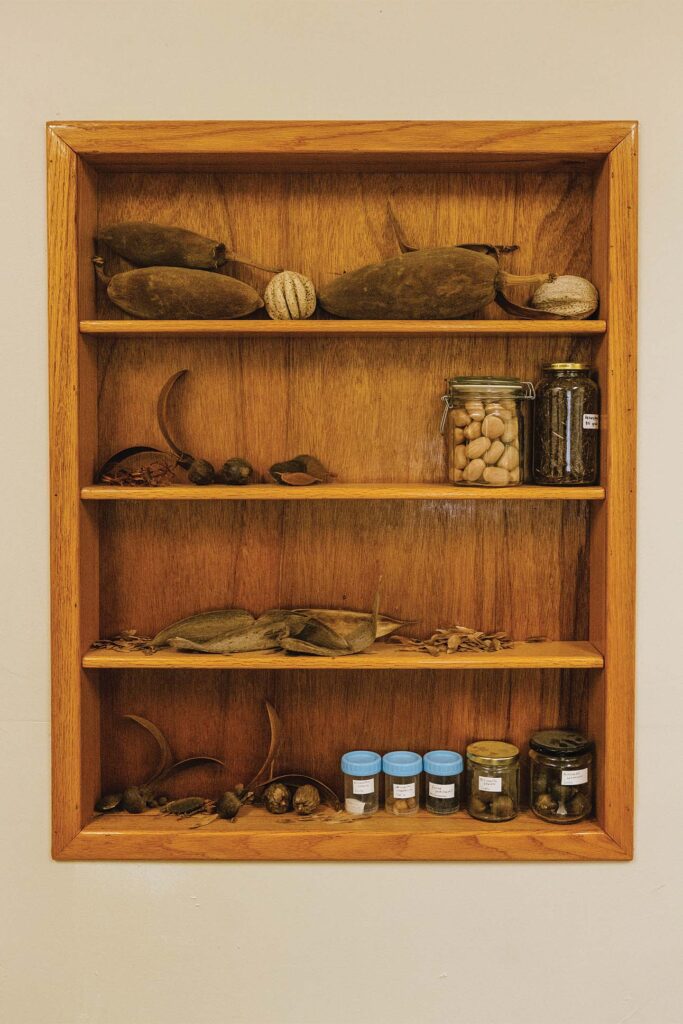 A wooden shelf with four compartments containing various dried out natural elements such as seed pods, leaves, and small jars filled with seeds and other organic materials.