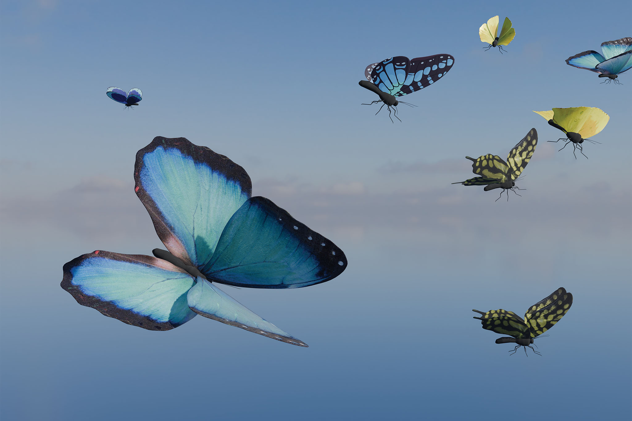 On Crystal Wings - Halekulani Living